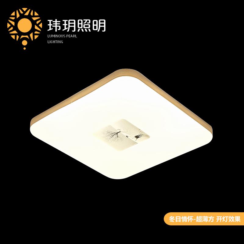 藝術現代(dai)吸(xi)頂燈